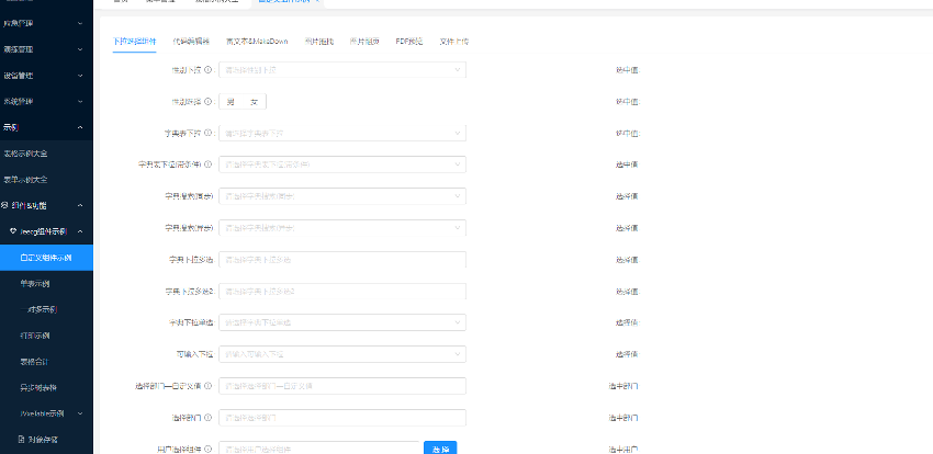 JeecgBoot Vue3 :构建高效的企业级前端业务模块(图2) 丰富示例