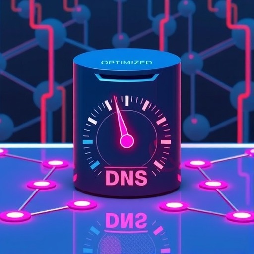 提升网站速度的秘密武器:DNS优化全面解析(图1) 提升网站速度的秘密武器:DNS优化全面解析(图1)