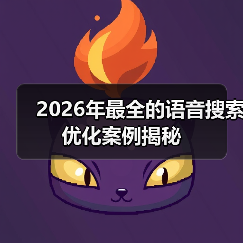 2026年最全的语音搜索优化案例揭秘（图4）