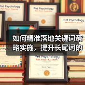 如何精准落地关键词策略实施，提升长尾词的流量转化（图3）