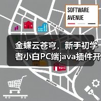 金蝶云苍穹，新手初学者小白PC端java插件开发教学示例（图2）