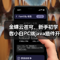 金蝶云苍穹，新手初学者小白PC端java插件开发教学示例（图4）