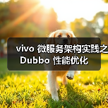 vivo 微服务架构实践之 Dubbo 性能优化（图2）
