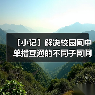 【小记】解决校园网中单播互通的不同子网间的 LocalSend 发现问题