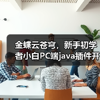 金蝶云苍穹，新手初学者小白PC端java插件开发教学示例（图2）