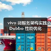 vivo 微服务架构实践之 Dubbo 性能优化