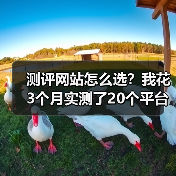 测评网站怎么选？我花3个月实测了20个平台，交给你这份避坑指南（图3）