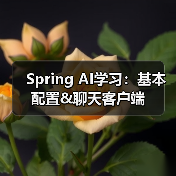 Spring AI学习：基本配置&聊天客户端（图2）