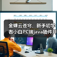 金蝶云苍穹，新手初学者小白PC端java插件开发教学示例