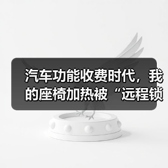 汽车功能收费时代，我的座椅加热被“远程锁死”了（图4）
