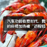 汽车功能收费时代，我的座椅加热被“远程锁死”了（图3）