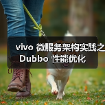vivo 微服务架构实践之 Dubbo 性能优化（图4）