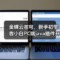 金蝶云苍穹，新手初学者小白PC端java插件开发教学示例（图4）