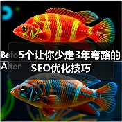 5个让你少走3年弯路的SEO优化技巧（图2）
