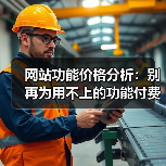 网站功能价格分析:别再为用不上的功能付费了!(图2) 网站功能价格分析:别再为用不上的功能付费了!(图2)