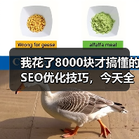 我花了8000块才搞懂的SEO优化技巧，今天全说清楚