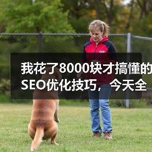 我花了8000块才搞懂的SEO优化技巧，今天全说清楚（图3）