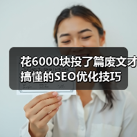 花6000块投了篇废文才搞懂的SEO优化技巧(图3) 花6000块投了篇废文才搞懂的SEO优化技巧(图3)