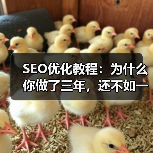 SEO优化教程：为什么你做了三年，还不如一个新站点？