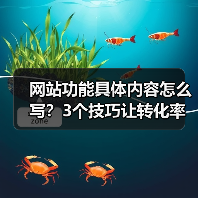 网站功能具体内容怎么写?3个技巧让转化率飙升187%(图4) 网站功能具体内容怎么写?3个技巧让转化率飙升187%(图4)