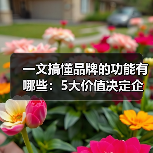 一文搞懂品牌的功能有哪些:5大价值决定企业生死(图2) 一文搞懂品牌的功能有哪些:5大价值决定企业生死(图2)