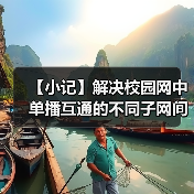 【小记】解决校园网中单播互通的不同子网间的 LocalSend 发现问题（图3）
