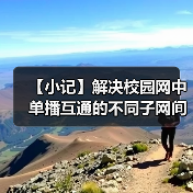 【小记】解决校园网中单播互通的不同子网间的 LocalSend 发现问题（图4）
