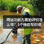 网站功能方面的评价怎么做？5个维度帮你精准判断（图3）