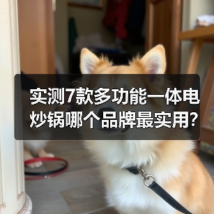 实测7款多功能一体电炒锅哪个品牌最实用？2026年避坑指南（图2）