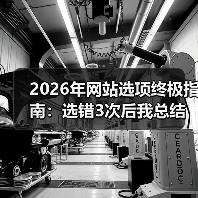 2026年网站选项终极指南:选错3次后我总结的8条血泪经验(图4) 2026年网站选项终极指南:选错3次后我总结的8条血泪经验(图4)