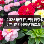 2026年还在折腾复杂功能?这7个网站简单功能让转化率提升3倍(图2) 2026年还在折腾复杂功能?这7个网站简单功能让转化率提升3倍(图2)