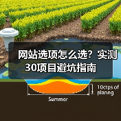 网站选项怎么选?实测30项目避坑指南(图3) 网站选项怎么选?实测30项目避坑指南(图3)