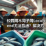 校园网不同子网LocalSend无法互通?解决方案(图2) 校园网不同子网LocalSend无法互通?解决方案(图2)