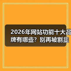 2026年网站功能十大品牌有哪些？别再被割韭菜了！（图3）