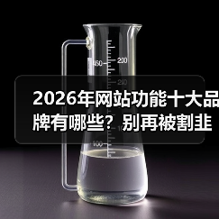 2026年网站功能十大品牌有哪些？别再被割韭菜了！（图2）