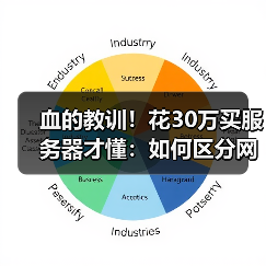 血的教训！花30万买服务器才懂：如何区分网站的功能与性能差别
