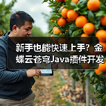 新手也能快速上手？金蝶云苍穹Java插件开发实战教学