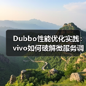 Dubbo性能优化实践：vivo如何破解微服务调用瓶颈？（图2）