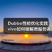 Dubbo性能优化实践：vivo如何破解微服务调用瓶颈？（图3）