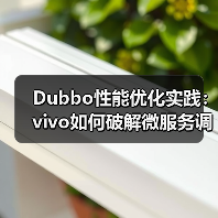 Dubbo性能优化实践：vivo如何破解微服务调用瓶颈？（图4）