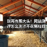 别再当冤大头！网站测评怎么测才不花冤枉钱（图4）