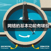 网络的基本功能有哪些(图1) 网络的基本功能有哪些(图1)