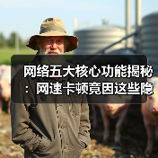 网络五大核心功能揭秘:网速卡顿竟因这些隐藏问题?(图1) 网络五大核心功能揭秘:网速卡顿竟因这些隐藏问题?(图1)