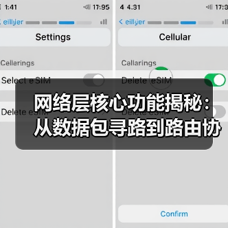 网络层核心功能揭秘：从数据包寻路到路由协议决策（图3）
