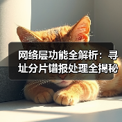 网络层功能全解析:寻址分片错报处理全揭秘(图2) 网络层功能全解析:寻址分片错报处理全揭秘(图2)