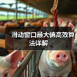 滑动窗口最大值高效算法详解(图3) 滑动窗口最大值高效算法详解(图3)
