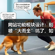 网站功能模块设计：别被“大而全”坑了，如何精准选择？（图3）