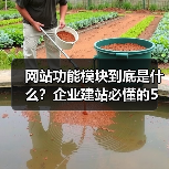 网站功能模块到底是什么?企业建站必懂的5大核心模块(图2) 网站功能模块到底是什么?企业建站必懂的5大核心模块(图2)