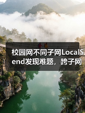 校园网不同子网LocalSend发现难题,跨子网传输如何破解?(图1) 校园网不同子网LocalSend发现难题,跨子网传输如何破解?(图1)