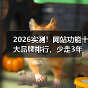 2026实测!网站功能十大品牌排行,少走3年弯路(图2) 2026实测!网站功能十大品牌排行,少走3年弯路(图2)